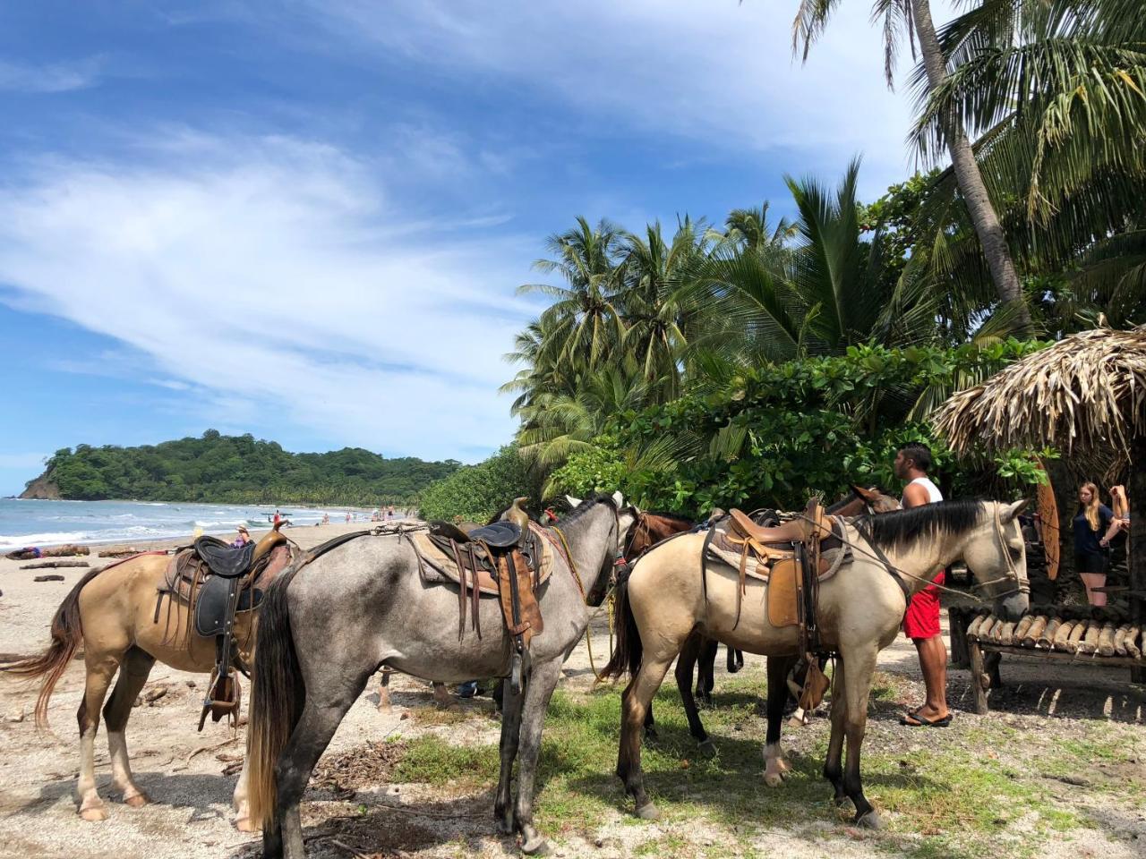 Macao Beach Самара Екстер'єр фото