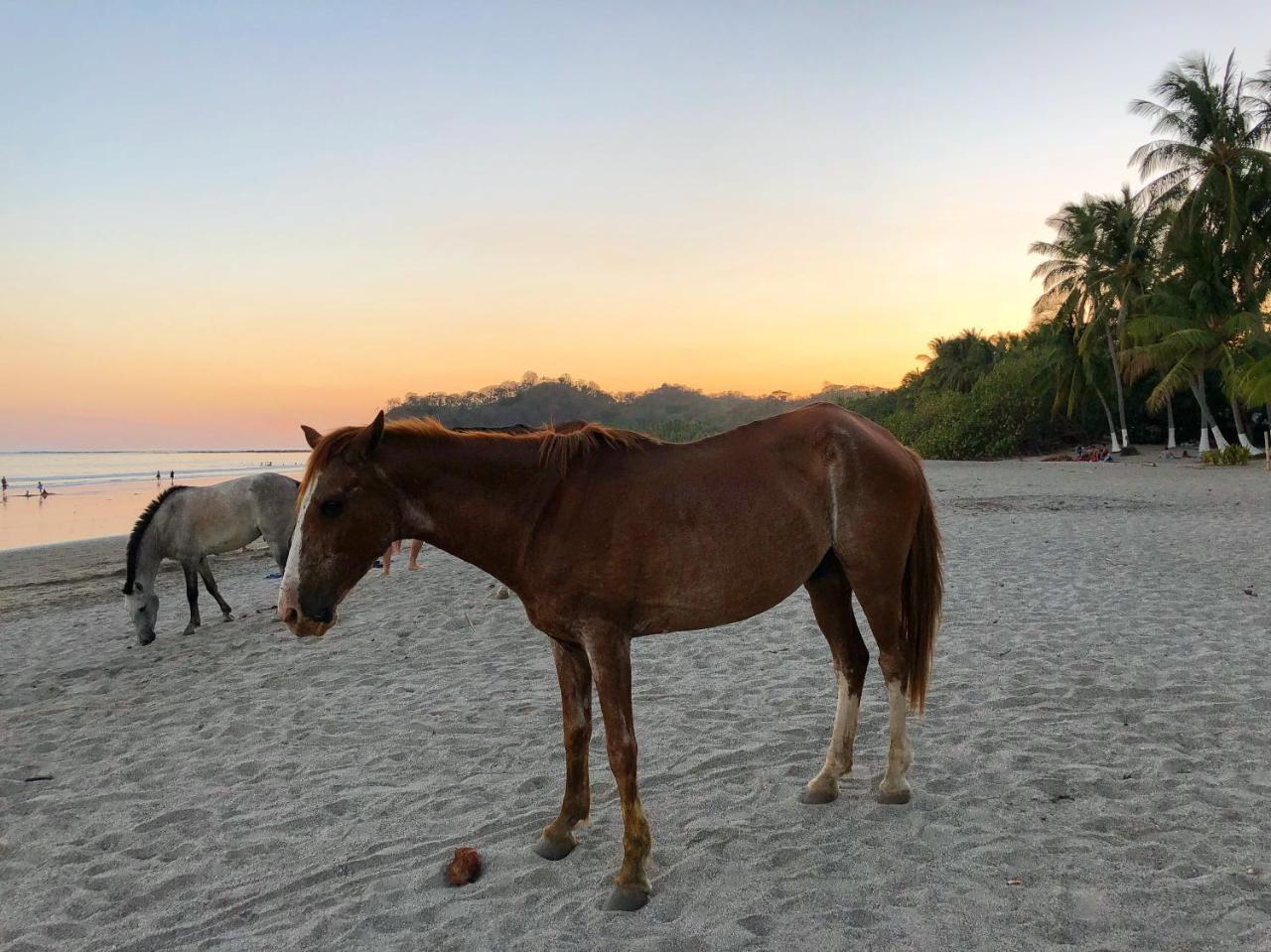 Macao Beach Самара Екстер'єр фото