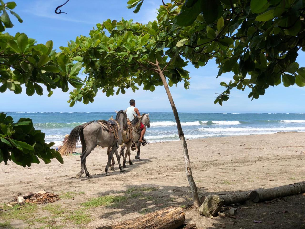 Macao Beach Самара Екстер'єр фото